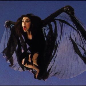 Meet your Posher, Scarlett